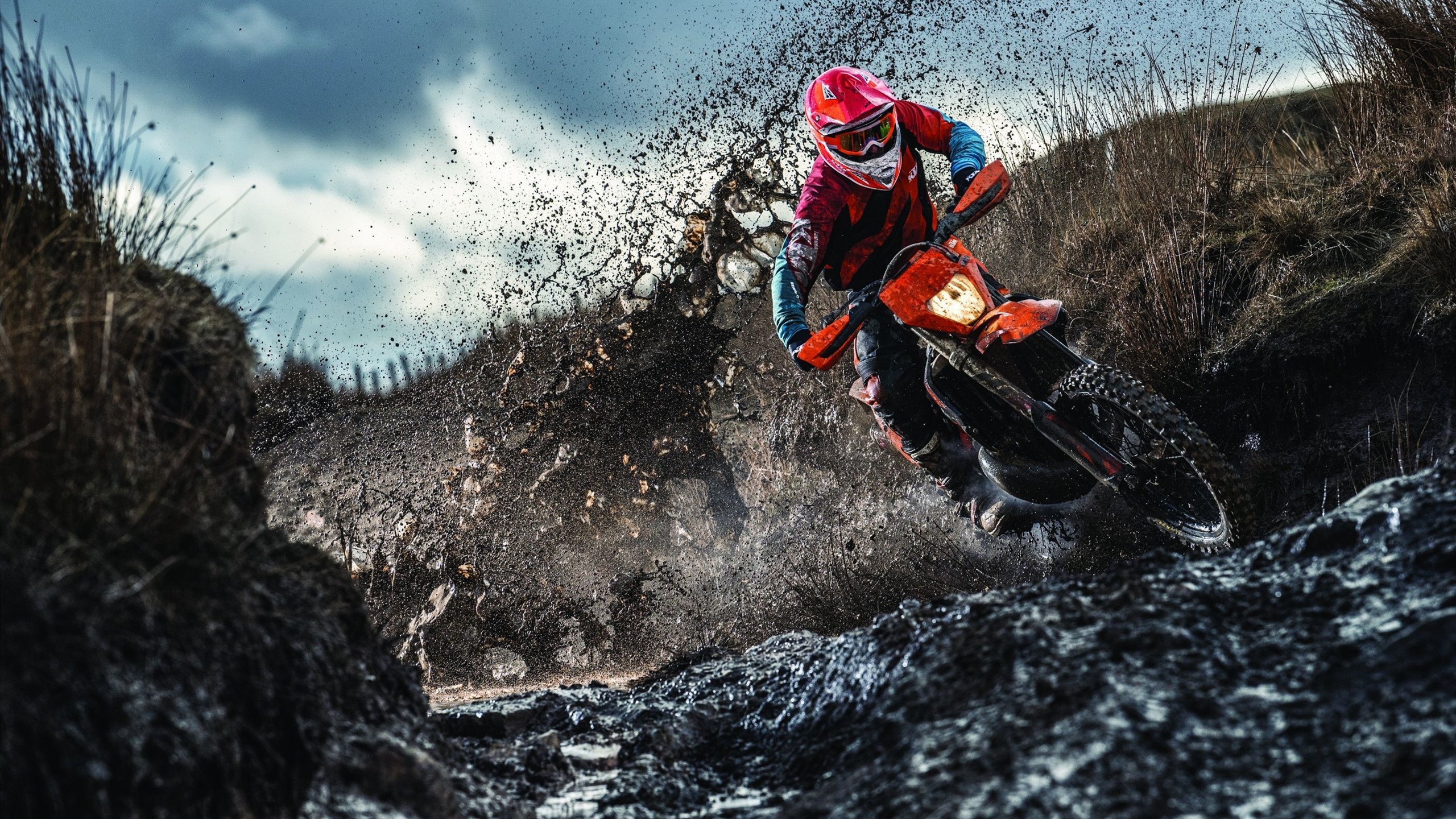 塔图姆关键战不手软,雄鹿节奏掌控公牛,东部双雄的制胜之道